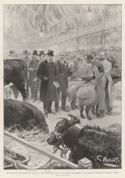 Der König und der Prinz von Wales auf der Smithfield Club Viehschau, 9. Dezember, Seine Majestät inspiziert Champion-Schafe